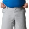 imageColumbia Mens Bonehead II ShortsCool Grey