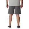 imageColumbia Mens Grander Marlin II Offshore ShortsCity Grey