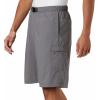 imageColumbia Mens Palmerston Peak ShortCity Grey