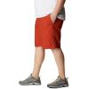 imageColumbia Mens Washed Out Short Cotton Classic FitDark Sienna