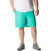 imageColumbia Mens Washed Out Short Cotton Classic FitElectric Turquoise