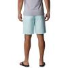 imageColumbia Mens Washed Out Short Cotton Classic FitIcy Morn