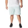 imageColumbia Mens Washed Out Short Cotton Classic FitIcy Morn