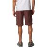 imageColumbia Mens Silver Ridge Cargo ShortLight Raisin