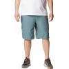 imageColumbia Mens Silver Ridge Cargo ShortMetal