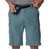 imageColumbia Mens Silver Ridge Cargo ShortMetal