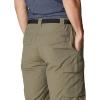 imageColumbia Mens Silver Ridge Cargo ShortStone Green
