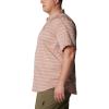 imageColumbia Mens Silver Ridge Utility Lite Novelty Short SleeveAuburn Chambray Stripe