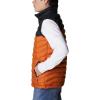 imageColumbia Mens Powder Lite VestWarm CopperBlack