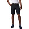 imageColumbia Mens Silver Ridge Convertible PantBlack