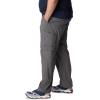imageColumbia Mens Silver Ridge Convertible PantCity Grey