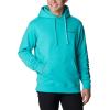 imageColumbia Mens Viewmont Ii Sleeve Graphic HoodieBright Aqua