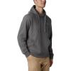 imageColumbia Mens Viewmont Ii Sleeve Graphic HoodieCity GreyColumbia Grey