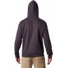 imageColumbia Mens Viewmont Ii Sleeve Graphic HoodieDark PurpleShale Purple