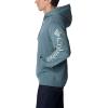 imageColumbia Mens Viewmont Ii Sleeve Graphic HoodieMetal