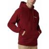 imageColumbia Mens Viewmont Ii Sleeve Graphic HoodieRed JasperWhite