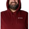 imageColumbia Mens Viewmont Ii Sleeve Graphic HoodieRed JasperWhite