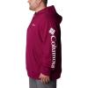 imageColumbia Mens Viewmont Ii Sleeve Graphic HoodieRed Onion