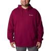 imageColumbia Mens Viewmont Ii Sleeve Graphic HoodieRed Onion