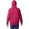 imageColumbia Mens Viewmont Ii Sleeve Graphic HoodieRed Onion