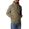 imageColumbia Mens Viewmont Ii Sleeve Graphic HoodieStone Green