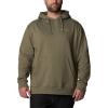 imageColumbia Mens Viewmont Ii Sleeve Graphic HoodieStone Green