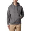 imageColumbia Mens Viewmont Ii Sleeve Graphic HoodieCity GreyColumbia Grey