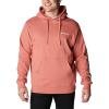 imageColumbia Mens Viewmont Ii Sleeve Graphic HoodieDark CoralWhite