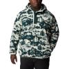 imageColumbia Mens Helvetia HoodieSpruce Roasted Print
