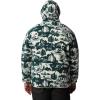 imageColumbia Mens Helvetia HoodieSpruce Roasted Print