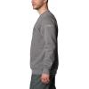 imageColumbia Mens M Logo Fleece CrewCity Grey HeatherCsc Varsity Arch 2