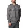 imageColumbia Mens M Logo Fleece CrewCity Grey HeatherCsc Varsity Arch 2