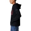 imageColumbia Mens Trek Graphic HoodieBlackTreestriped Flag