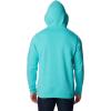 imageColumbia Mens Trek Graphic HoodieBright Aqua HeatherTreestriped Flag
