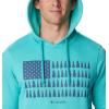 imageColumbia Mens Trek Graphic HoodieBright Aqua HeatherTreestriped Flag