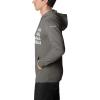 imageColumbia Mens Trek Graphic HoodieCharcoal Heather  Treeline Flag Graphic