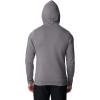 imageColumbia Mens Trek Graphic HoodieCity Grey HeatherTreestriped Flag