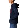 imageColumbia Mens Trek Graphic HoodieCollegiate NavyTreestriped Flag