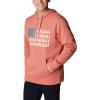 imageColumbia Mens Trek Graphic HoodieDark CoralTreestriped Flag