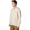imageColumbia Mens Trek Graphic HoodieDark StoneButton Badge