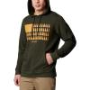 imageColumbia Mens Trek Graphic HoodieGreenscapeTreestripe Flag