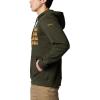 imageColumbia Mens Trek Graphic HoodieGreenscapeTreestripe Flag