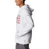 imageColumbia Mens Trek Graphic HoodieWhiteTreestriped Flag