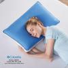 imageColumbia Cooling Gel Memory Foam Pillow  Comfortable and Supportive with Cooling ampamp Breathable Features  Removable Washable Cover QueenQueen
