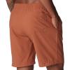 imageColumbia Mens Summertide Stretch ShortAuburn