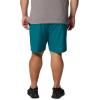 imageColumbia Mens Summertide Stretch ShortRiver Blue