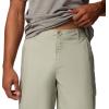 imageColumbia Mens Washed Out Cargo Short IiSafari