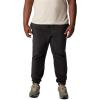 imageColumbia Mens Steens Mountain PantBlack