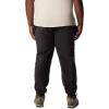 imageColumbia Mens Steens Mountain PantBlack