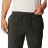 imageColumbia Mens Steens Mountain PantBlack